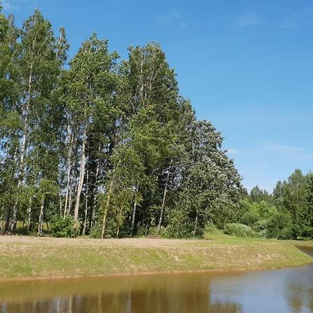 Lazariskio Apartamentai Martiniskenai Luaran gambar
