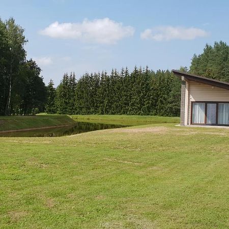 Lazariskio Apartamentai Martiniskenai Luaran gambar
