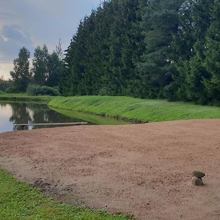Lazariskio Apartamentai Martiniskenai Luaran gambar
