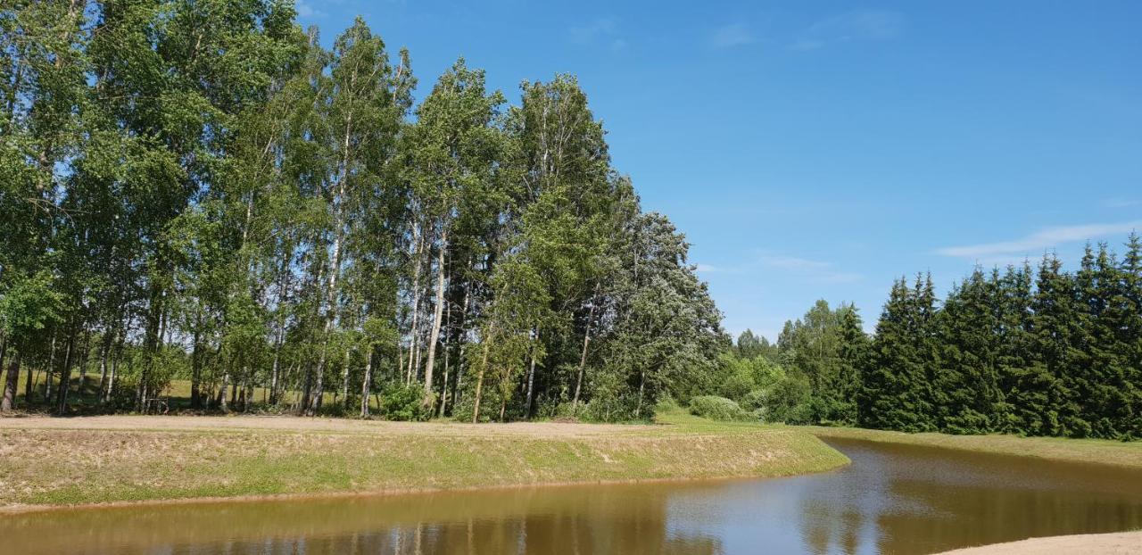 Lazariskio Apartamentai Martiniskenai Luaran gambar
