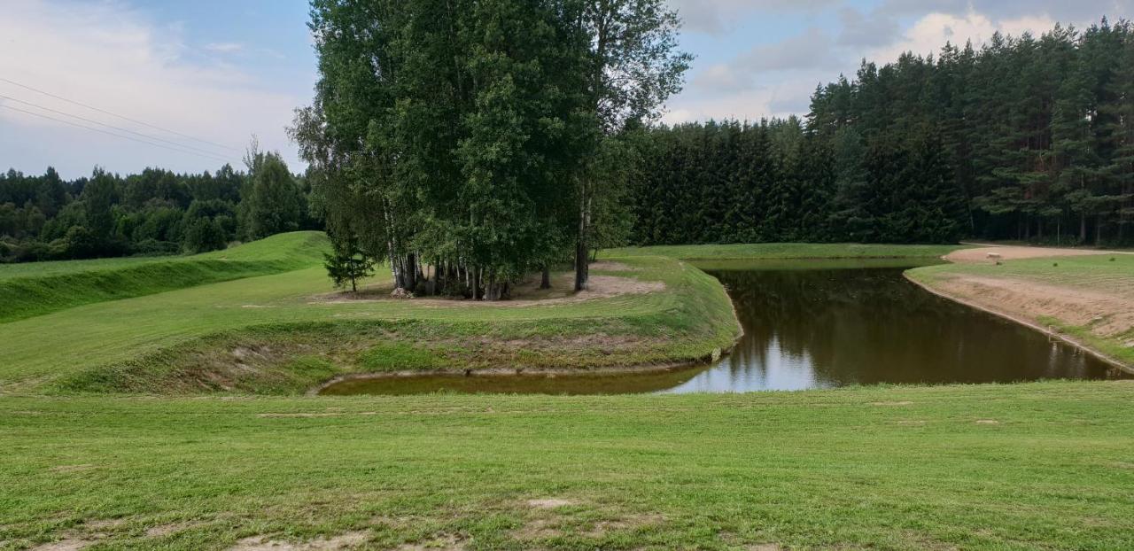 Lazariskio Apartamentai Martiniskenai Luaran gambar
