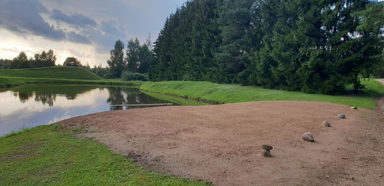 Lazariskio Apartamentai Martiniskenai Luaran gambar